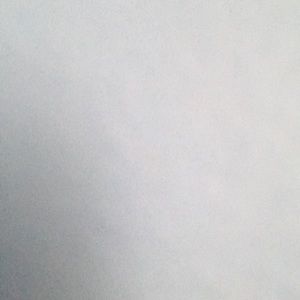 Meet your Posher, Daisy